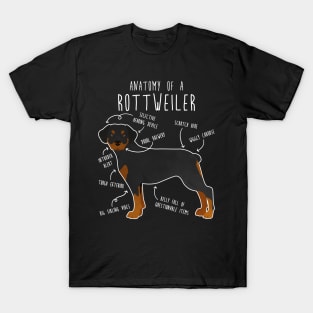 Rottweiler Anatomy T-Shirt